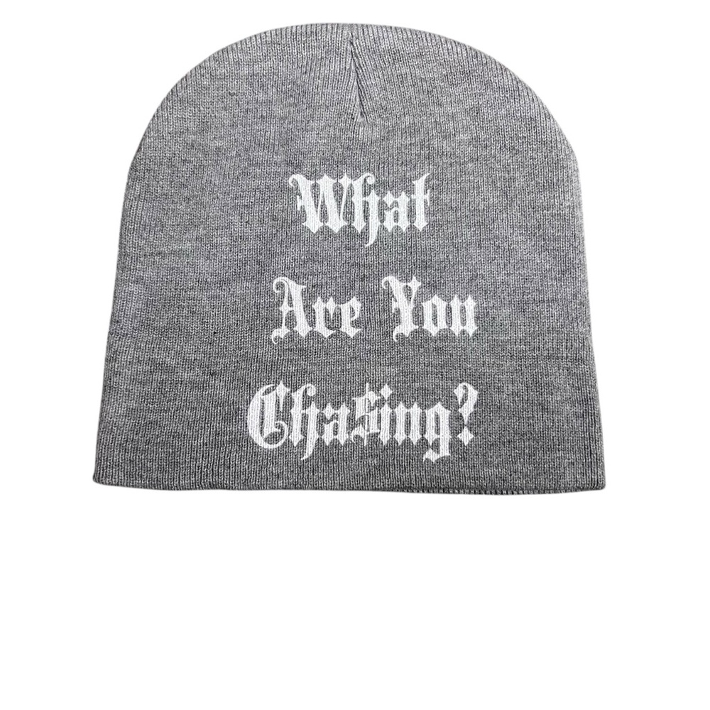 New Chasing Victory Grey What Are You Chasing Beanie - Picture 2 of 2